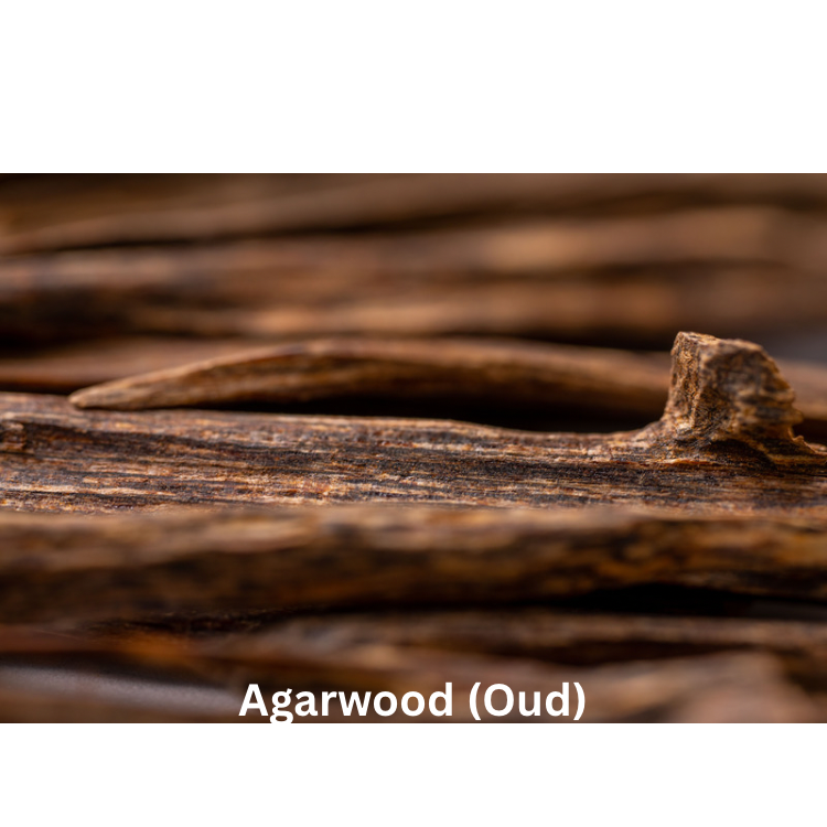Royal Oud Cologne | Natural Perfume Oil