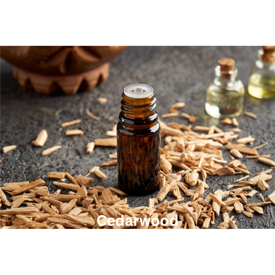 Midnight Rebel | Natural Perfume Oil