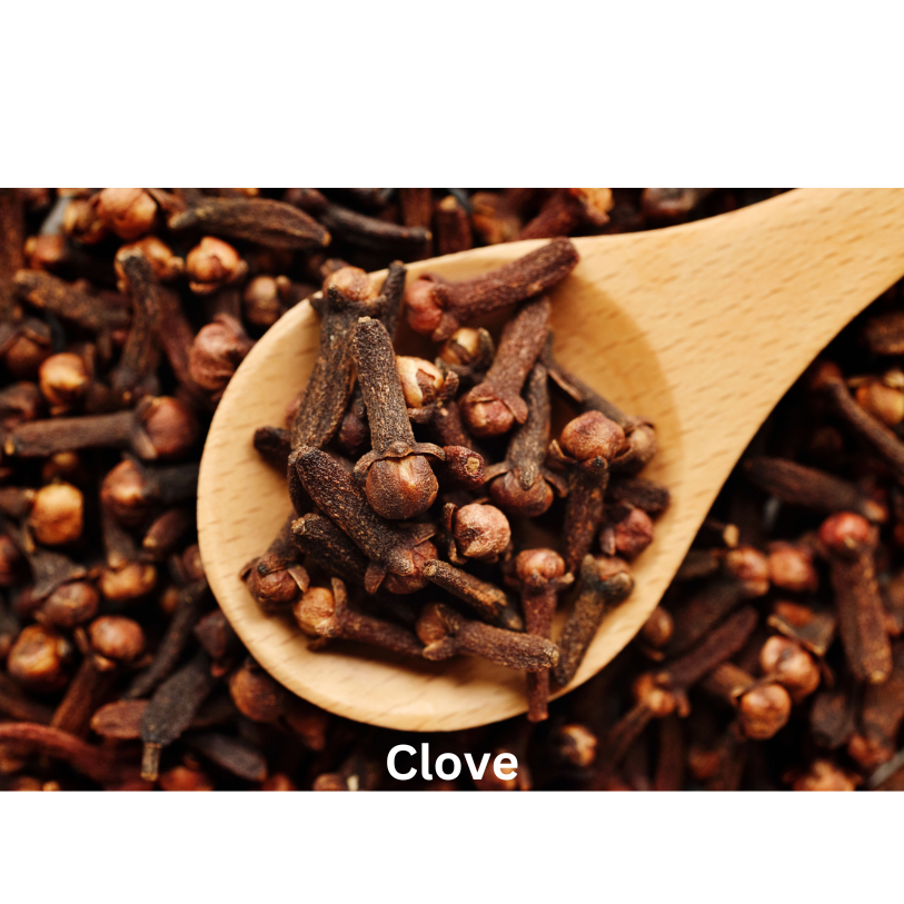 Seductive Spice | Natural Perfume Oil