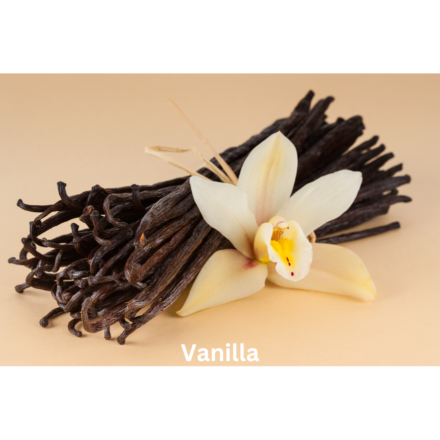 Timeless Elegance | Natural Perfume Oil