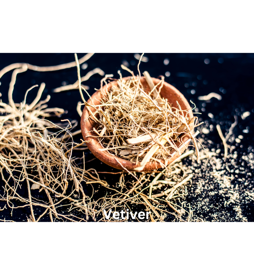 Timeless Elegance | Natural Perfume Oil Fragrance Of Eden