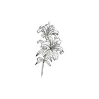 Light Floral