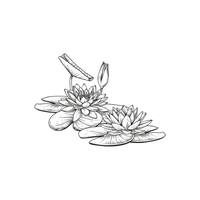 Aquatic