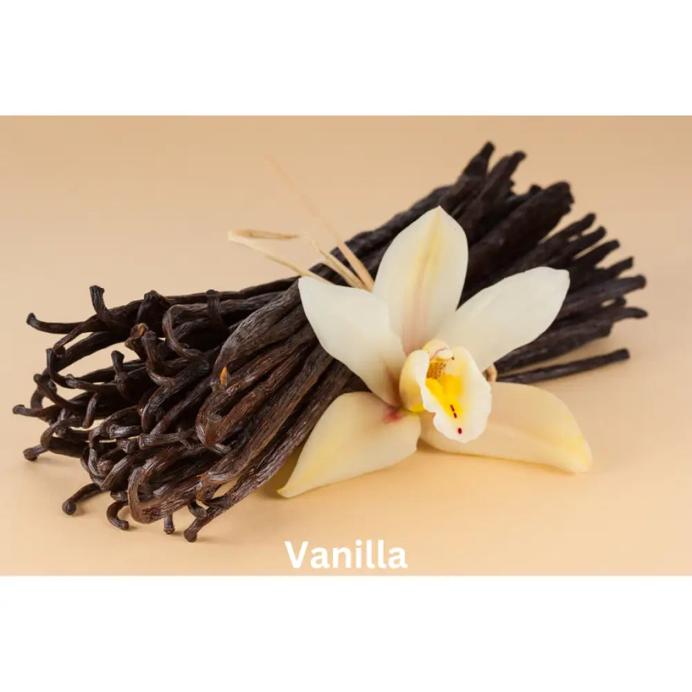 Timeless Elegance | Natural Perfume Oil Fragrance Of Eden