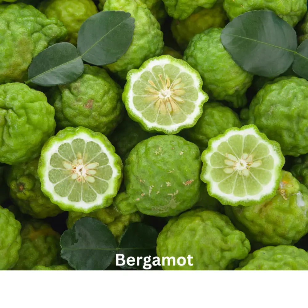 Green Woods | Natural Perfume Oil Fragrance Of Eden