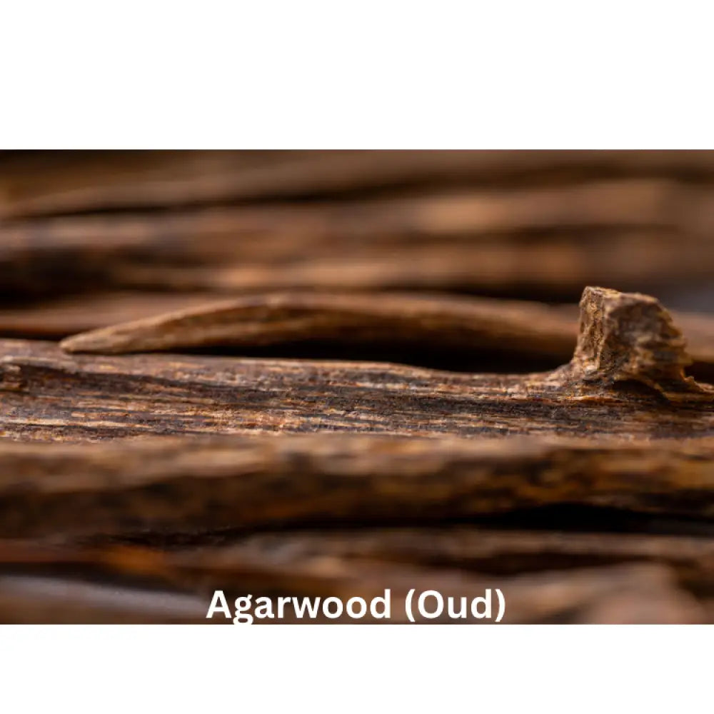 Velvet Nights | Natural Perfume Oil Fragrance Of Eden